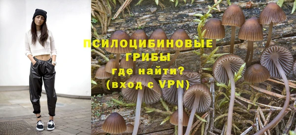 скорость Ладушкин