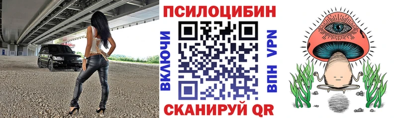 Галлюциногенные грибы Psilocybe  Купить  Пугачёв 