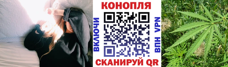 Купить где  Пугачёв  Марихуана семена 